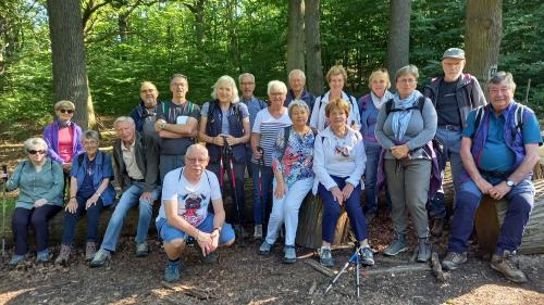 Balade -pique nique du 24 juin en foret de l'Isle Adam à proximité de la maison forestière du Bois Carreaux